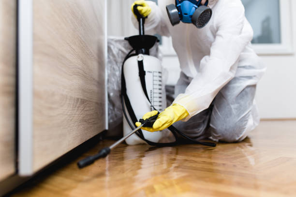 Best Bed Bug Extermination  in Mcarthur, OH