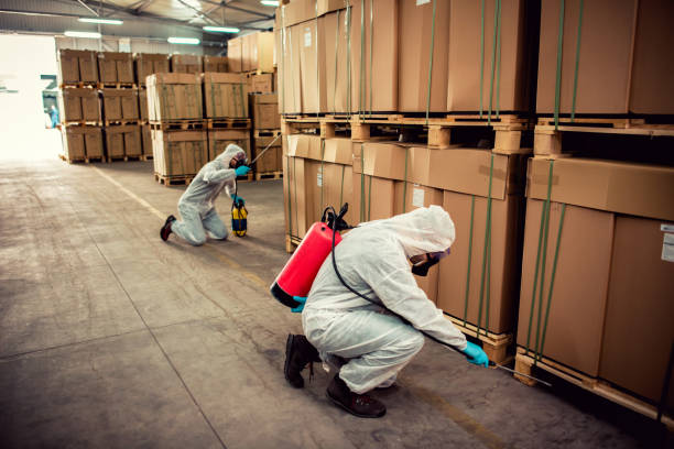Trusted Mcarthur, OH Pest Control Experts