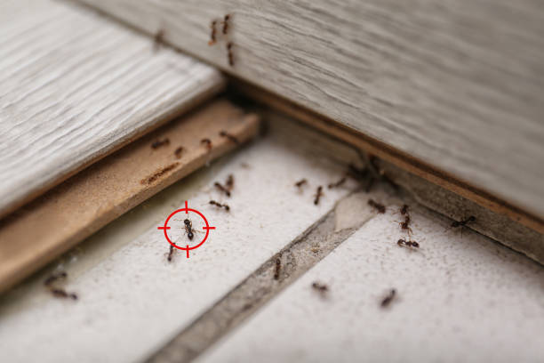 Best Commercial Pest Control Services  in Mcarthur, OH