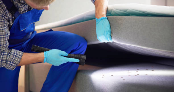 Best Flea Control Services  in Mcarthur, OH