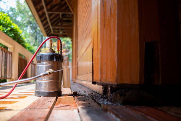 Best Pest Control for Restaurants  in Mcarthur, OH