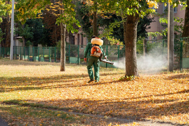 Best Cockroach Control Services  in Mcarthur, OH